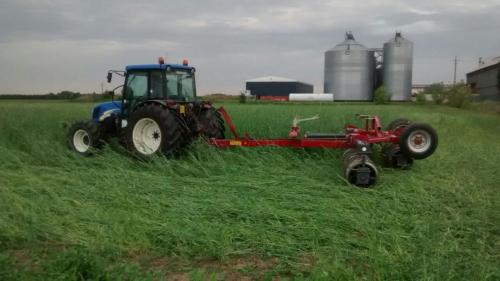 semina-su Cover Crop Granarolo